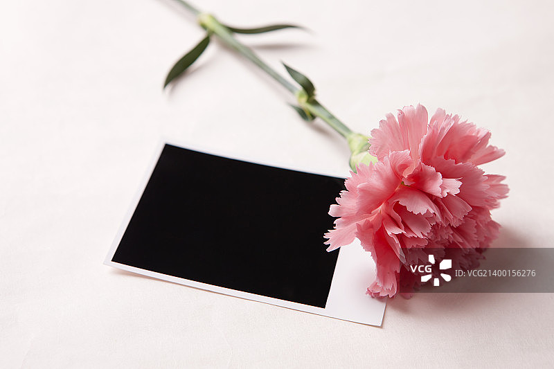 活动日019图片素材