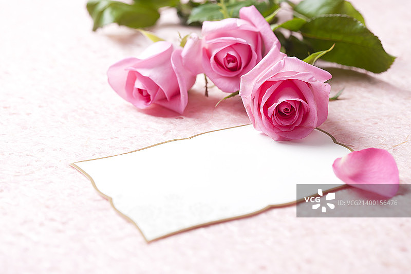 活动日072图片素材