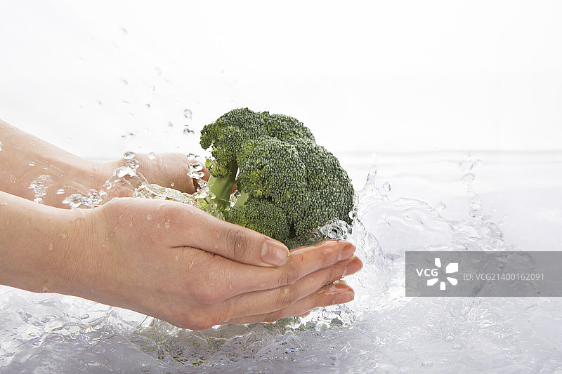 手部动作 100图片素材