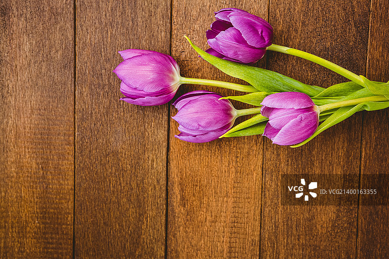 美丽花朵特写图片素材