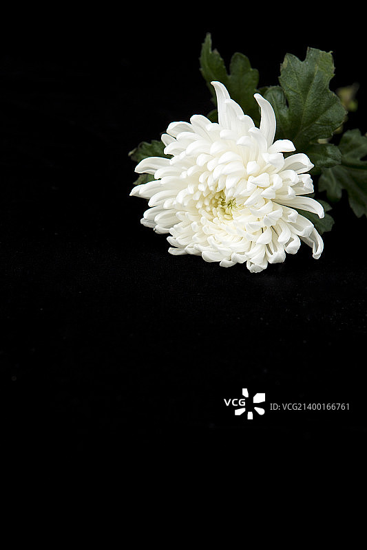 纪念013图片素材