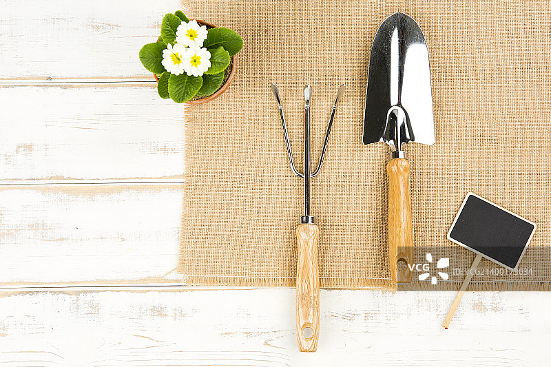 园艺029图片素材