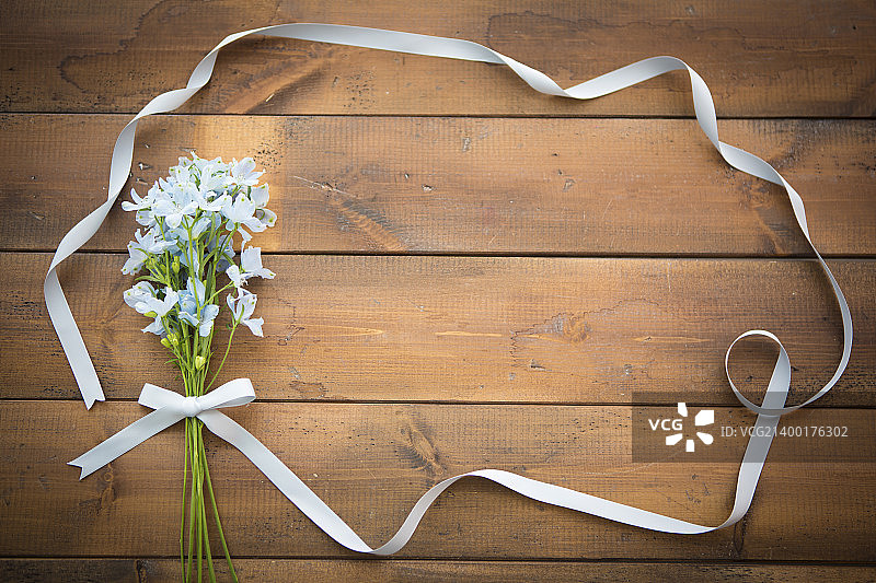 春天的信使069图片素材