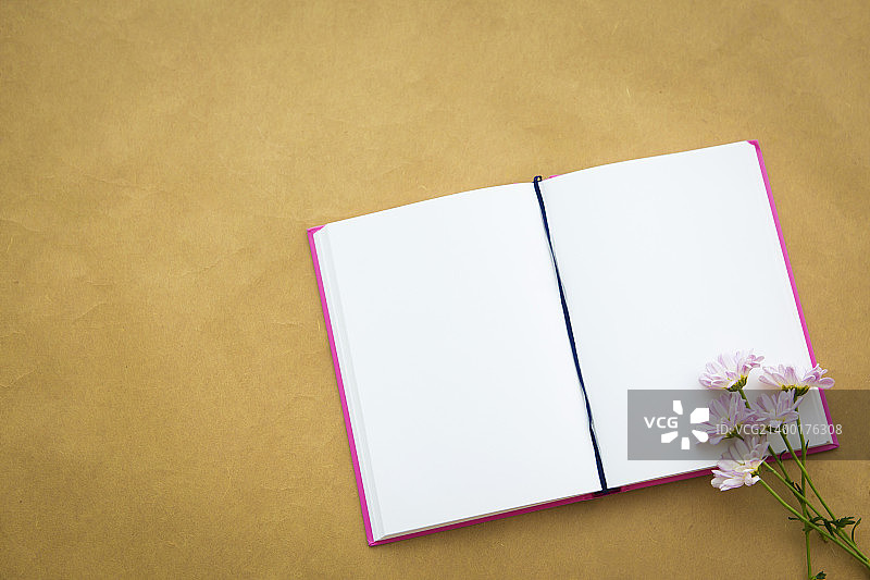 春天的信使070图片素材