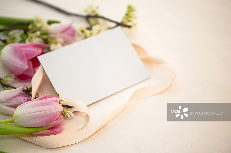 春天的信使076图片素材