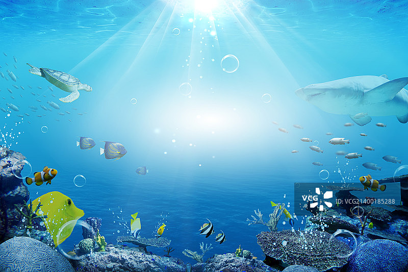 夏季编辑照片003图片素材