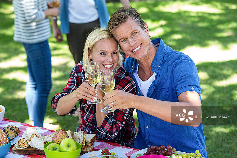 朋友们野餐时喝葡萄酒图片素材