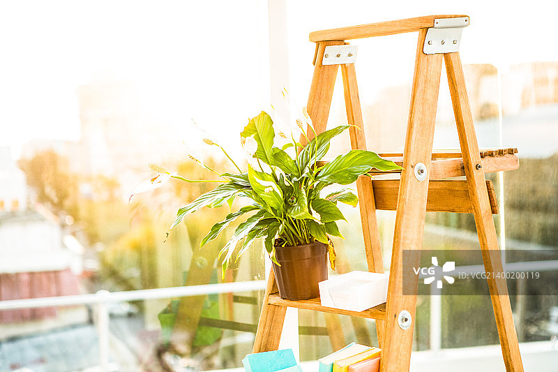 办公室用作架子的梯子图片素材