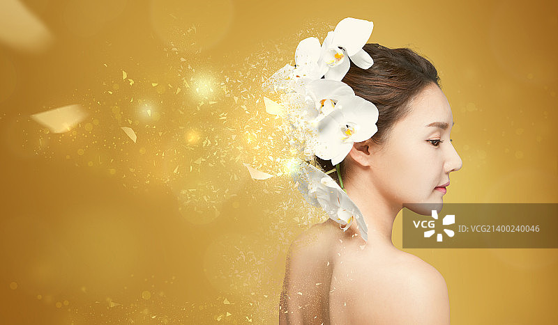 艺术作品图片素材