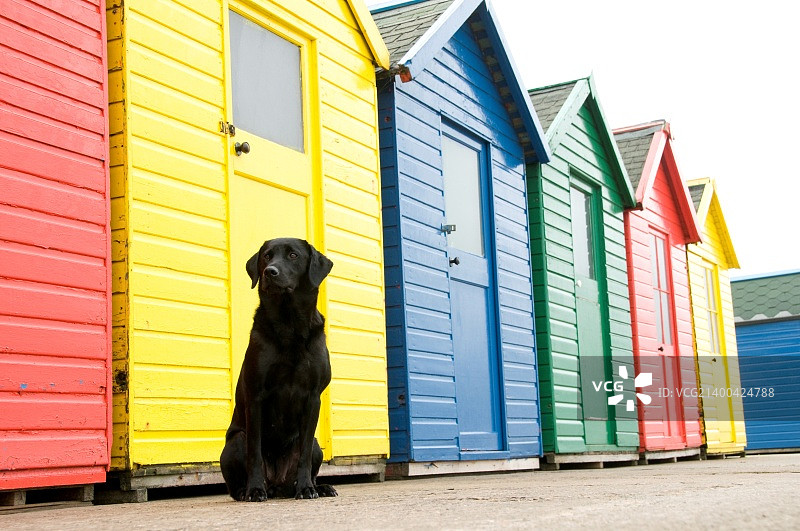 海滩小屋图片素材