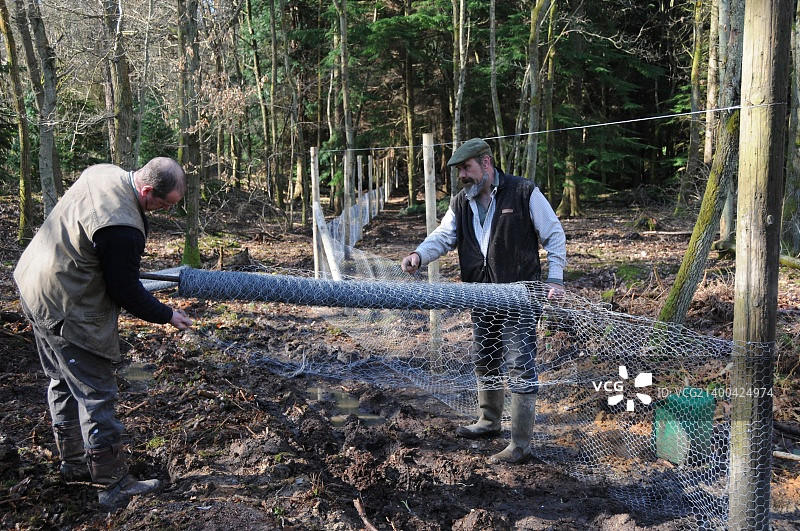 男人在建造栅栏图片素材