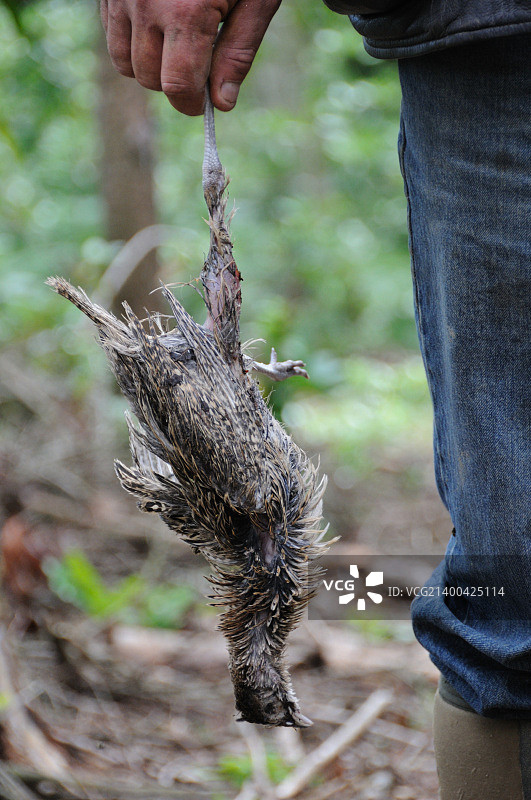 手持死鸟的看守人图片素材
