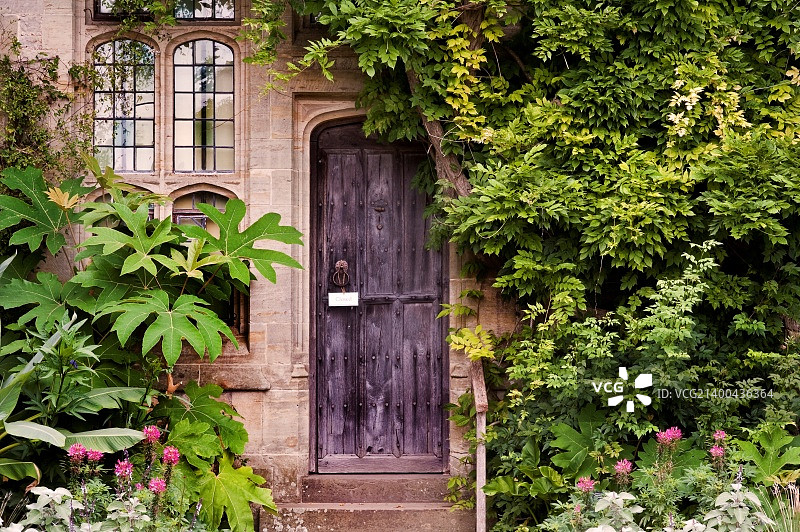 覆盖常春藤和植物的旧木门或石砖房图片素材