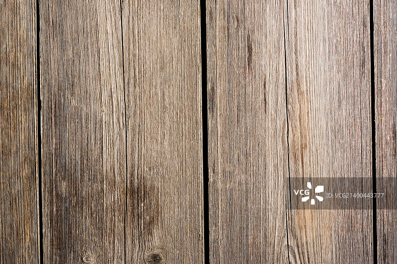 老木的背景图片素材