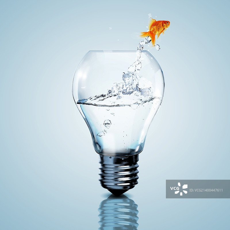 灯泡里的金鱼图片素材