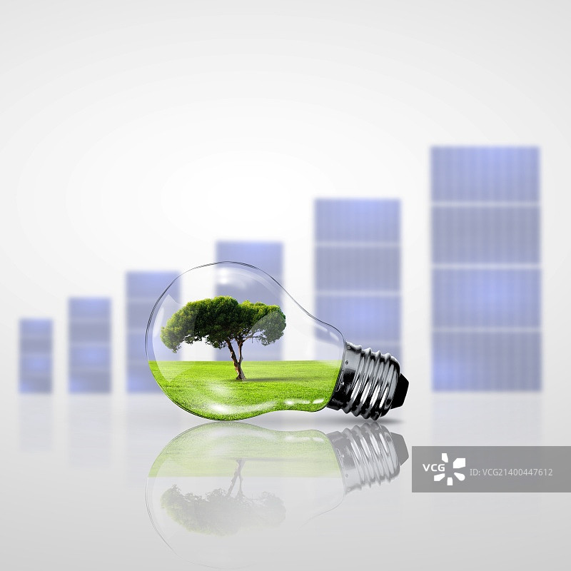 作为绿色能源象征的灯泡和植物图片素材