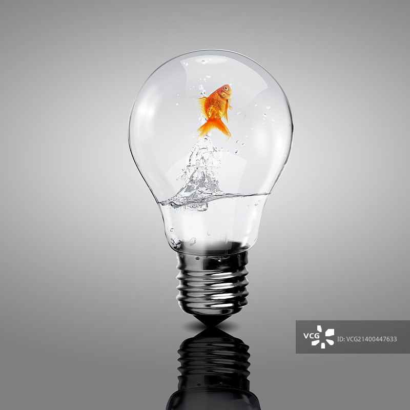 灯泡里的金鱼图片素材