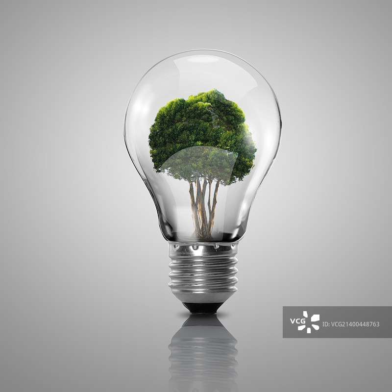 作为绿色能源象征的灯泡和植物图片素材