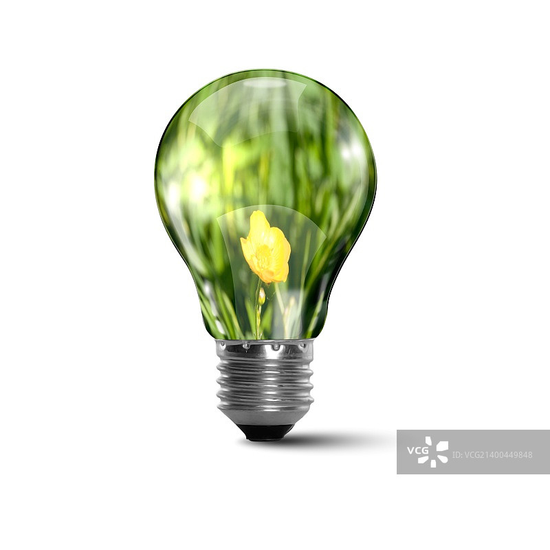 一个内部拥有干净安全自然环境的灯泡概念插画图片素材