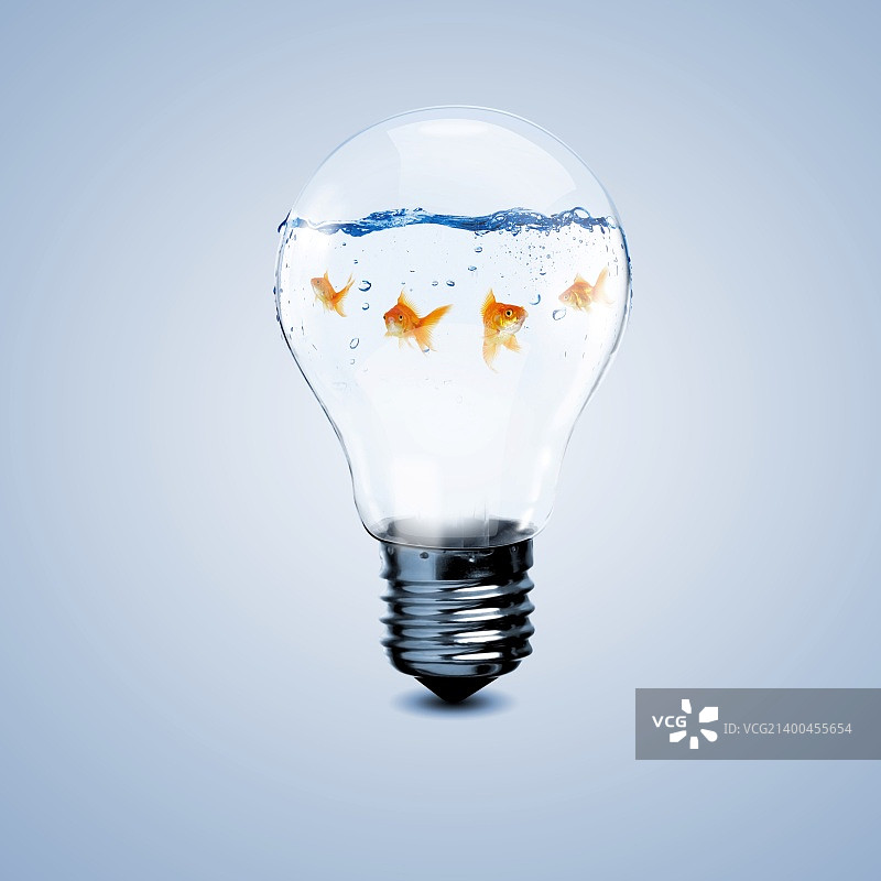 灯泡里的金鱼图片素材