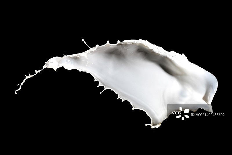 白色牛奶飞溅，黑色背景图片素材