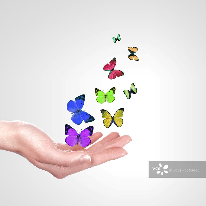 放飞彩色蝴蝶图片素材