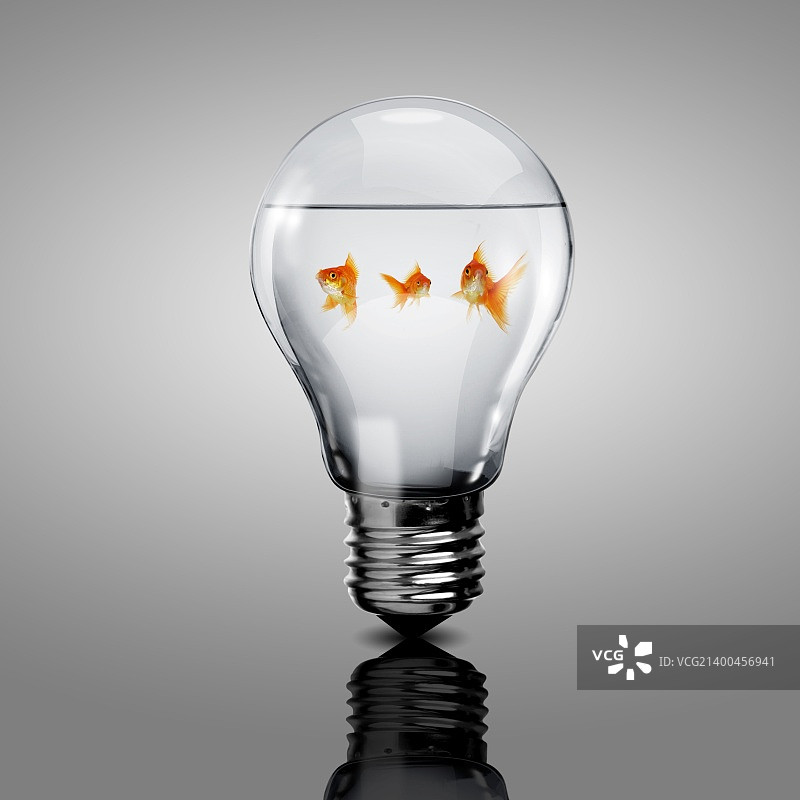 灯泡里的金鱼图片素材