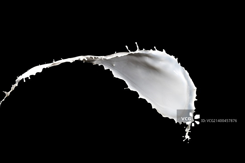 白色牛奶飞溅，黑色背景图片素材