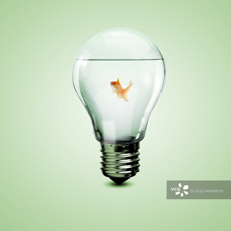 灯泡里的金鱼图片素材