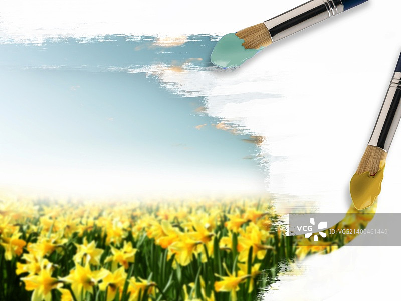 阳光明媚的自然风光和画笔照片图片素材