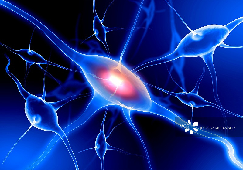 神经细胞插画图片素材