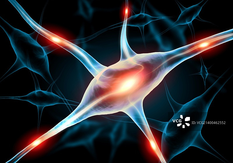 神经细胞插画图片素材