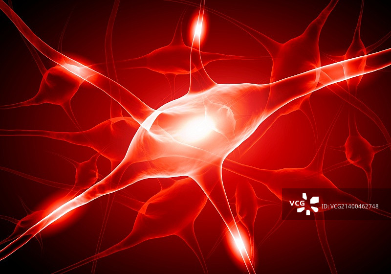 神经细胞插画图片素材