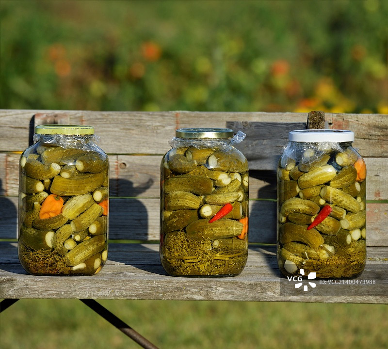 花园木凳上的腌黄瓜罐图片素材