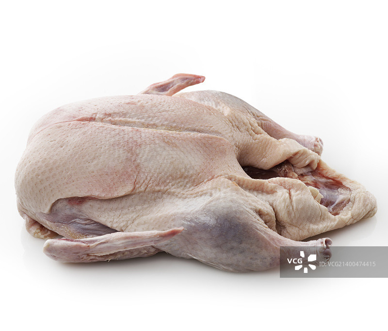 白色背景上的整只生鸭图片素材