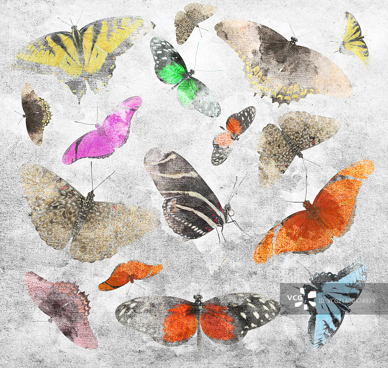 蝴蝶做旧背景图片素材