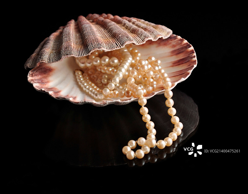 黑色背景上的贝壳珍珠图片素材