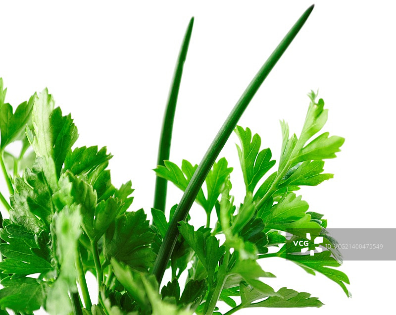 欧芹和韭菜叶图片素材