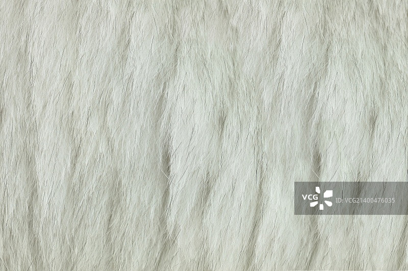 狐狸毛皮背景图片素材