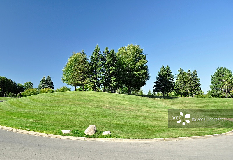 有树木的山丘图片素材