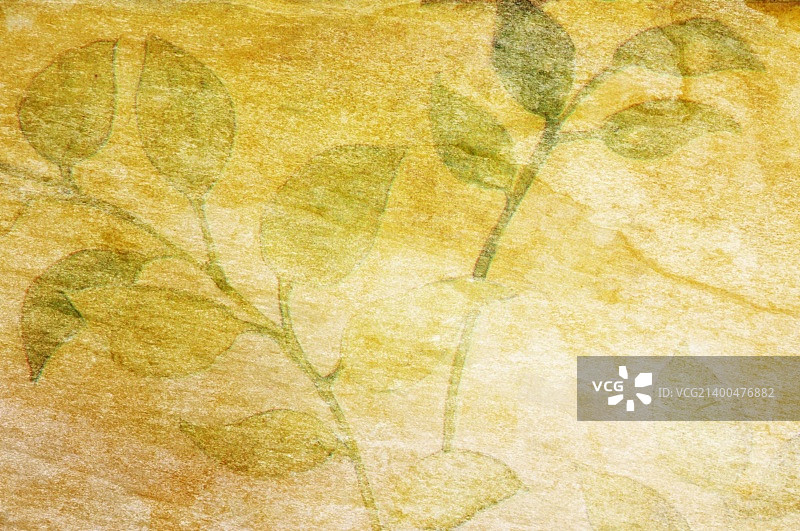 带有植物的抽象Grunge背景图片素材