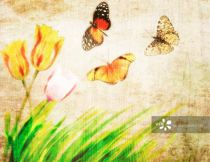 带鲜花和蝴蝶的抽象自然背景图片素材