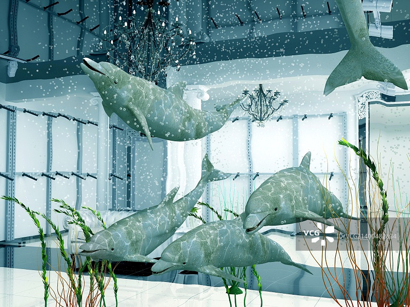 现代商店内部的一群海豚（3D）图片素材
