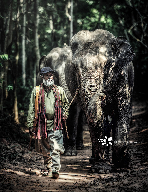 象奴和他的大象图片素材