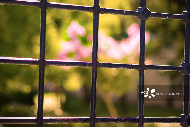 美丽不可禁锢图片素材