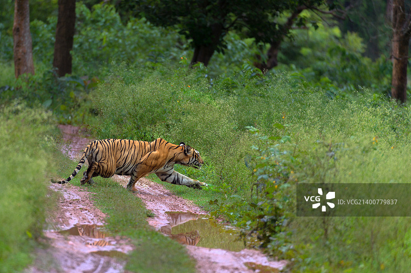 国王驾崩，新王当立图片素材