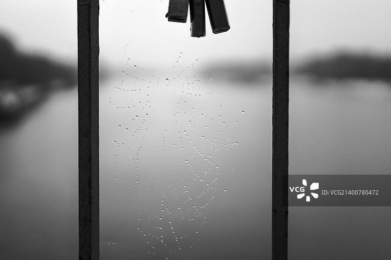 蜘蛛网图片素材