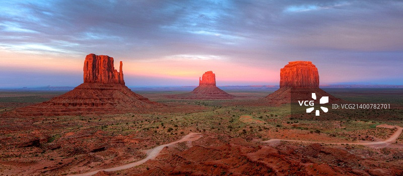 三棵树（见证千年流逝）图片素材