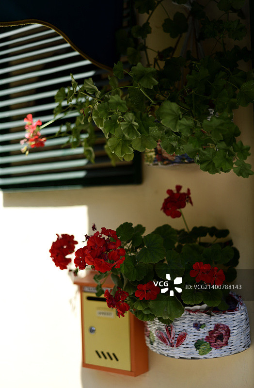 塞尔维亚诺维萨德通道图片素材