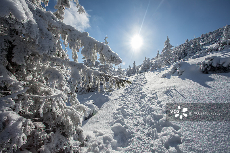 塔特拉山脉的冬天图片素材